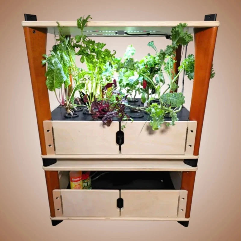 Chef’s Organic Set - Hydroponic Bundle
